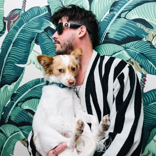 Wavves
