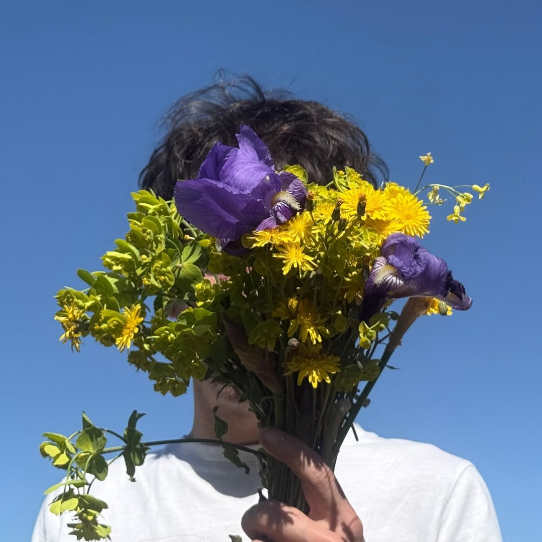 Ferran Palau