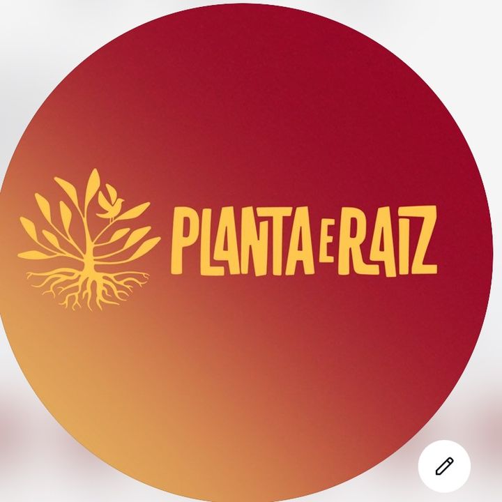 Planta E Raiz