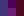 Colortopia